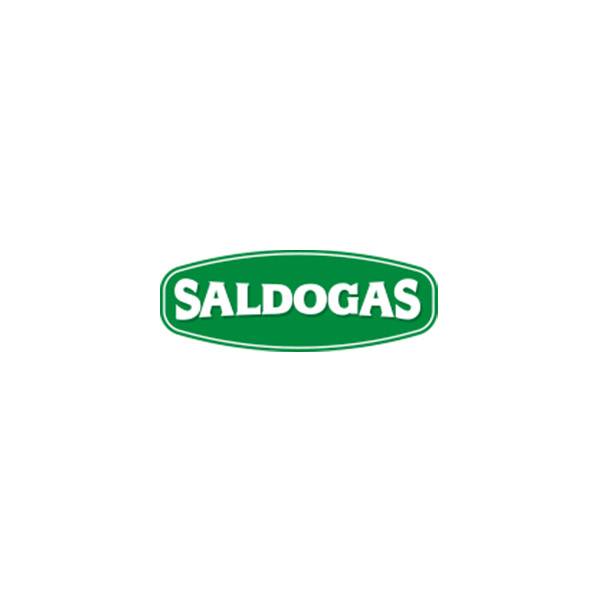 SALDOGAS