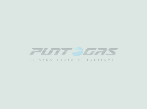 La 2 Ore di Vallelunga con BRC - Impianti a gas per la tua auto!